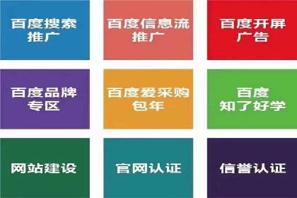 百度竞价优化技巧：成功案例分享